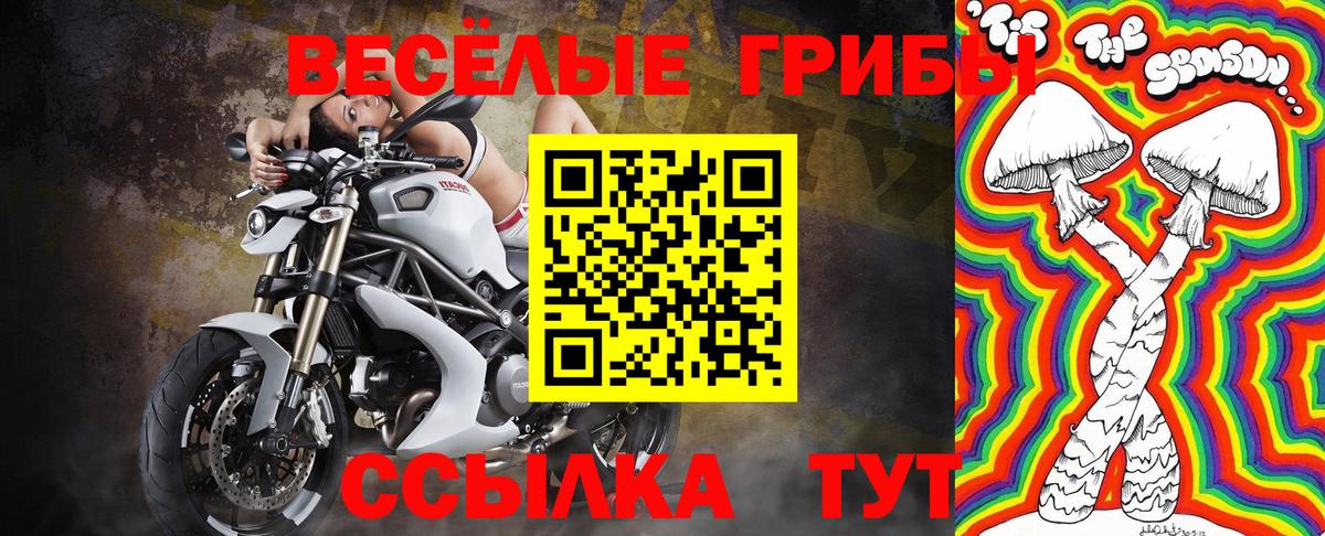 Усолье-Сибирское  Галлюциногенные грибы Magic Shrooms  Галлюциногенные грибы GOLDEN TEACHER  Вход с VPN 