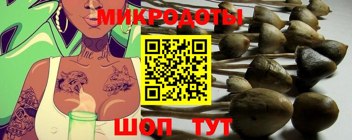Галлюциногенные грибы мухоморы Усолье-Сибирское